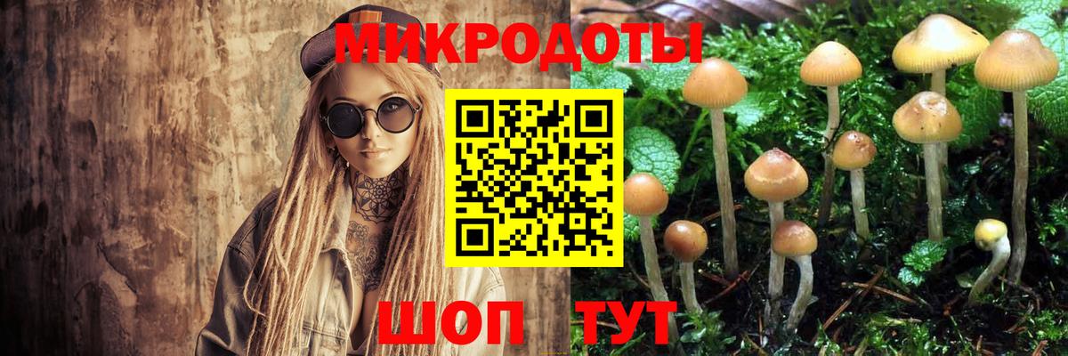 Советский  Псилоцибиновые грибы GOLDEN TEACHER  Вход с VPN  Галлюциногенные грибы ЛСД 