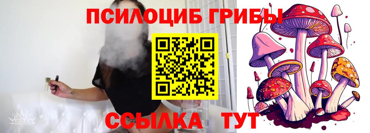 Псилоцибиновые грибы Psilocybe Советский